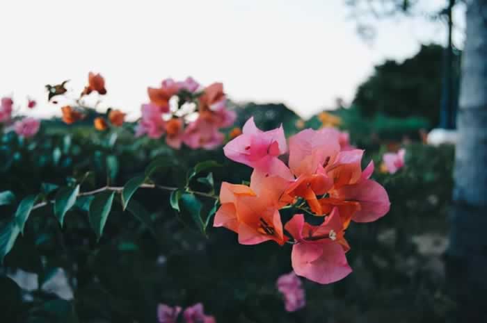 嘉待情感_情感咨詢_情感挽回_情感問題解決_分手了怎麼辦_怎麼挽回前任_被背叛後，你要學會一種人生“智慧”，接受過去，讓過去成為過去