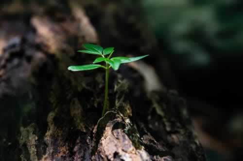 嘉待情感_情感咨詢_情感挽回_情感問題解決_分手了怎麼辦_怎麼挽回前任_為什麼，多年的婚姻會遭遇背叛？有一種原因很現實，也很紮心