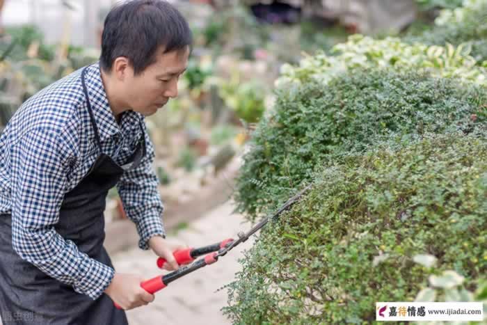 男人到了中年，要学会活得“卑微”一点_嘉待情感