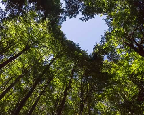 前女友拒绝我的挽回，这些招数让她重新爱上你